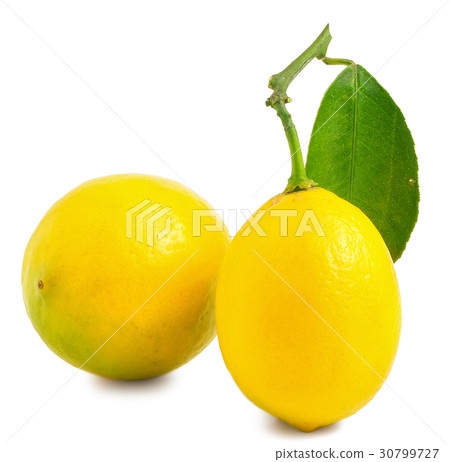 Two lemons with leaf 30799727