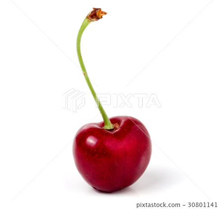 One sweet cherry closeup isolated on white 30801141