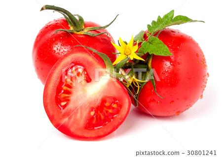 tomato with leaves flower water drops isolated on tomato with leaves flower water drops isolated on 30801241