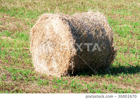Summer Field with Hay Bale as background Summer Field with Hay Bale as background 30801670