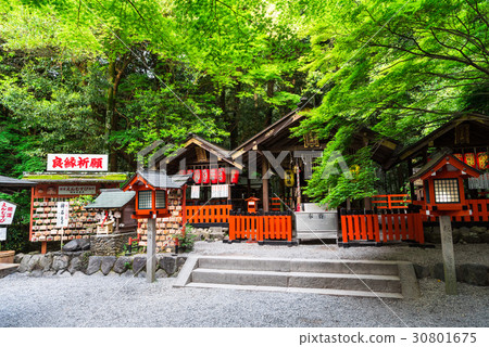 京都Sagano Nomiya神社 30801675