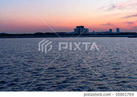 盛開的海岸 盛開的海岸 30801769