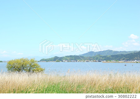 Sainoko Sainoko 30802222
