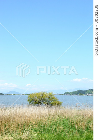 Sainoko Sainoko 30802239