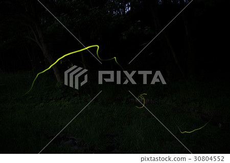 Firefly banquet 30804552