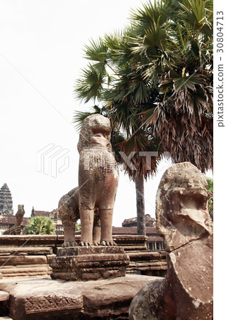 Angkor Wat Temple 30804713