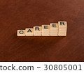 Chart with words Career. Career stair concept. 30805001