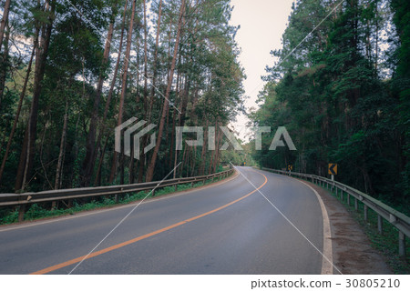 Foggy Straight Redwood Highway in the way  30805210