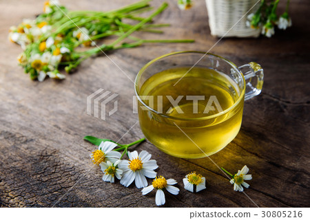 cup of chamomile tea with chamomile flowers 30805216