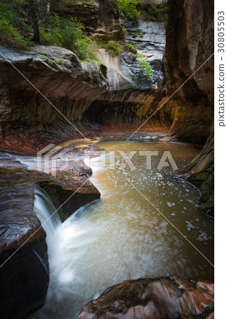 Subway Zion National Park 30805503