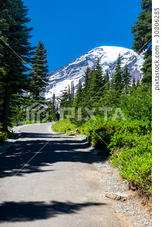 Mt. Rainier National Park 30806285