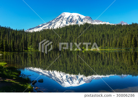 The Beautful Reflection of Mt Rainier The Beautful Reflection of Mt Rainier 30806286
