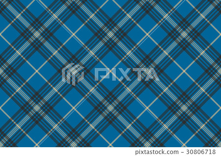 Fabric texture blue check plaid seanless pattern 30806718