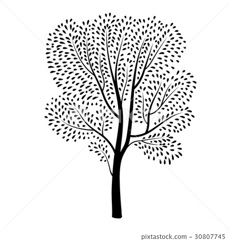 Tree silhouette Spring nature plant design element Tree silhouette Spring nature plant design element 30807745