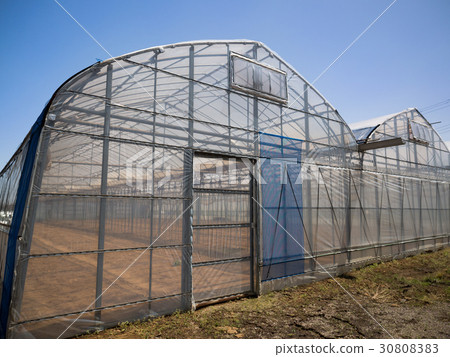 vinyl house  30808383