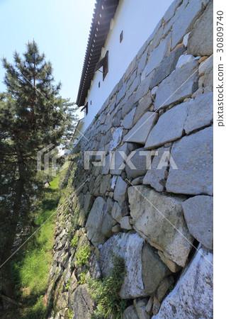 "Imperial dog running" around Ishigaki of Imabari Castle "Imperial dog running" around Ishigaki of Imabari Castle 30809740