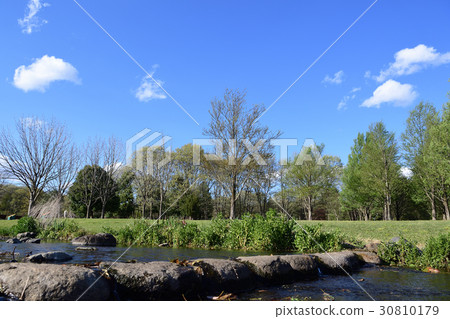 栃木文化公園 30810179