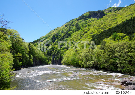 Katamari山谷 Katamari山谷 30810243