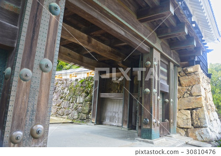 Kochi Castle 's Omote gate (Kochi City, Kochi Prefecture) Kochi Castle 's Omote gate (Kochi City, Kochi Prefecture) 30810476