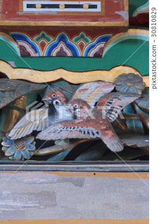 日光東照宮神社睡貓的麻雀 照片素材 圖片 圖庫