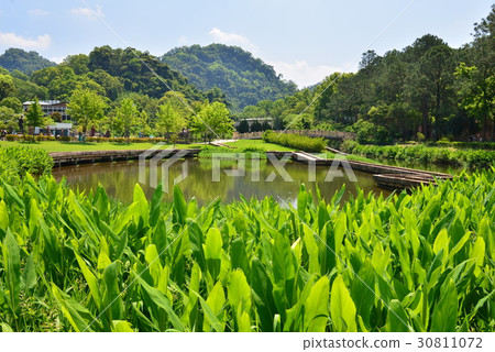 風景 湖 慈湖 樹 流水 小橋流水 植物 雲 倒影 山 水 大溪 桃園 觀光 蔣公 蔣介石 蔣中正 30811072