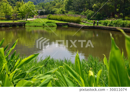 風景 湖 慈湖 樹 流水 小橋流水 植物 倒影 山 水 大溪 桃園 觀光 蔣公 蔣介石 蔣中正 30811074