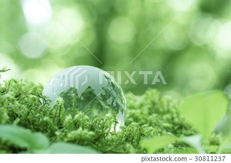 玻璃地球在森林裡 30811237