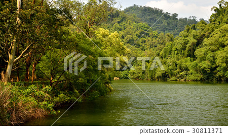 風景 湖 慈湖 後花園 花園 後慈湖 樹 植物 水 大溪 桃園 觀光 蔣公 蔣介石 蔣中正 30811371