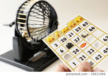 賓果 賓果 30811468