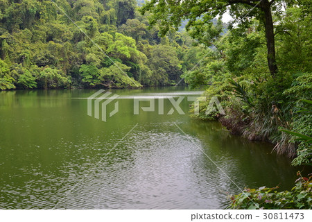 風景 湖 慈湖 後花園 花園 後慈湖 樹 植物 水 大溪 桃園 觀光 蔣公 蔣介石 蔣中正 30811473