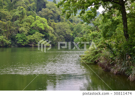 風景 湖 慈湖 後花園 花園 後慈湖 樹 植物 水 大溪 桃園 觀光 蔣公 蔣介石 蔣中正 30811474