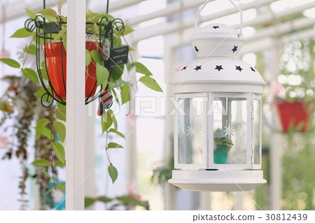 Garden decoration. 30812439