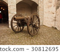 Medieval cannon 30812695