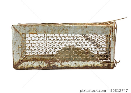 Mouse trap cage. Mouse trap cage. 30812747