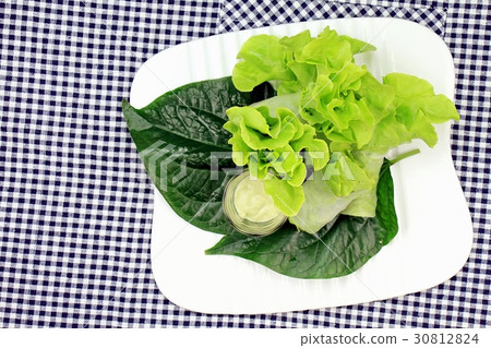 Healthy food concept,Fresh vegetables spring rolls Healthy food concept,Fresh vegetables spring rolls 30812824