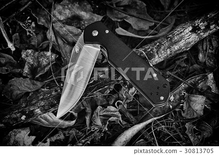 Combat Knife in forest, Army knife in the jungle. 30813705