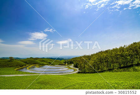 Fan rice terrace 30815552