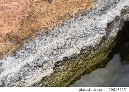 White algae and mineral layer in the stone White algae and mineral layer in the stone 30817215