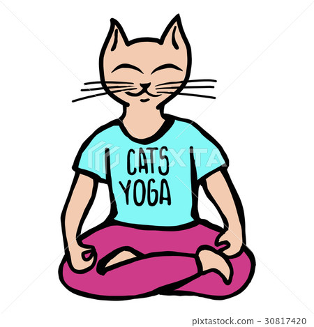 Cats yoga illustration Cats yoga illustration 30817420