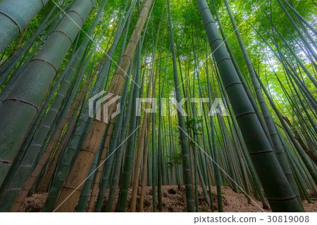 Arashiyama in Kyoto, Japan 30819008