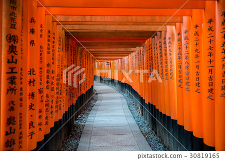 Fushimi Inari Taisha Shrine in Kyoto, Japan Fushimi Inari Taisha Shrine in Kyoto, Japan 30819165