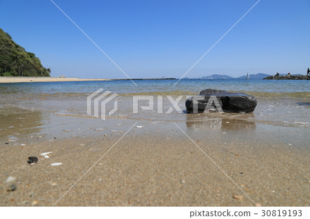 大海和沙灘 30819193
