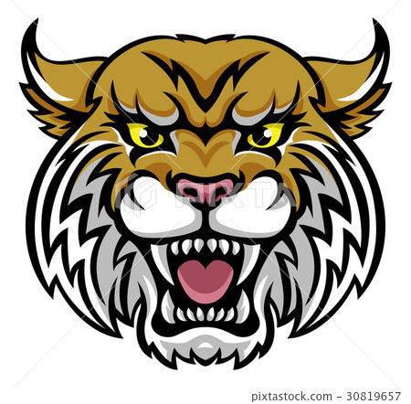 Wildcat Bobcat Mascot Wildcat Bobcat Mascot 30819657