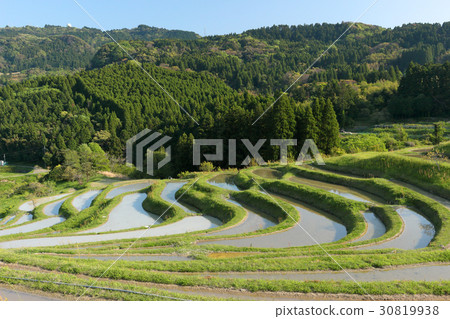 Oyama Senjita (Kamogawa City) 30819938