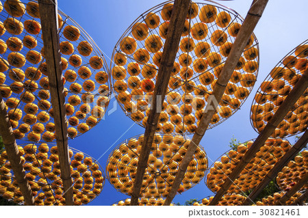 Persimmon cake factory in Hsinchu, Taiwan 30821461