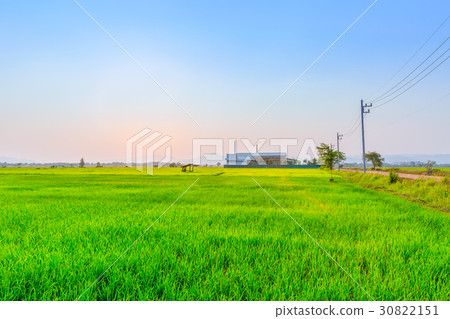 Agriculture green field with industry power plant. 30822151