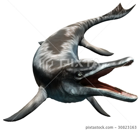 Cymbospondylus 30823163
