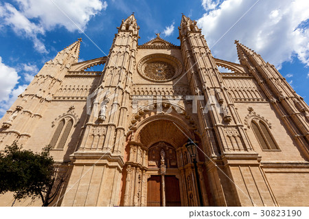 The Cathedral of Santa Maria of Palma 30823190
