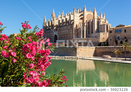 The Cathedral of Santa Maria of Palma 30823226