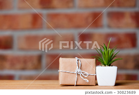 plant and gift plant and gift 30823689